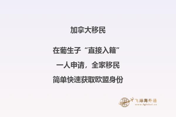 加拿大聯(lián)邦技術(shù)移民費用！與投資移民相比，竟然這要這么點！