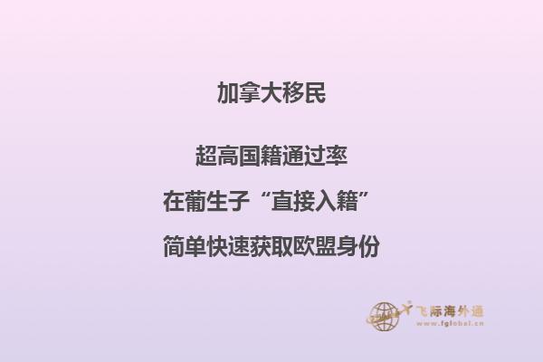 加拿大大西洋四省申請條件，你符合以下條件嗎？