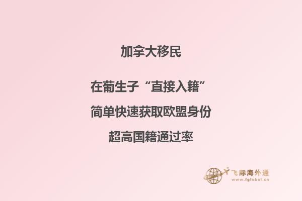 加拿大魁省投資移民適合哪些人，申請周期要多久？