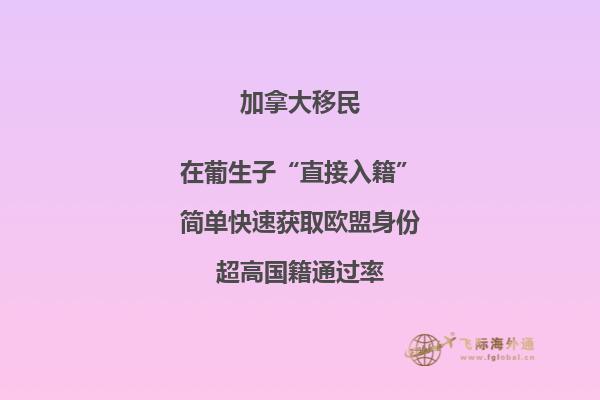 加拿大魁省投資移民需要多少錢，移民政策是什么？