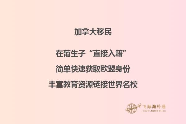 加拿大移民政策再傳利好，或新增“市提名”計劃！