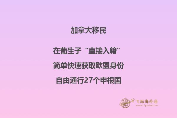 加拿大安省技術(shù)移民項(xiàng)目，哪種方式更適合你？