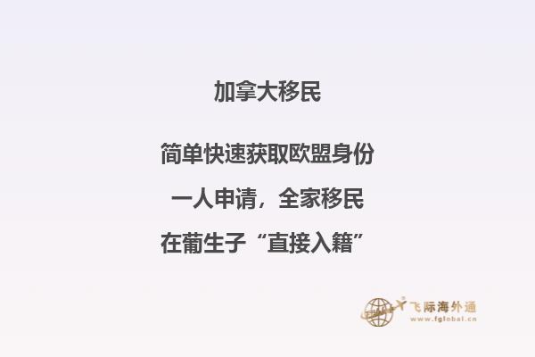 技術(shù)移民加拿大容易嗎，加拿大技術(shù)移民條件如何？