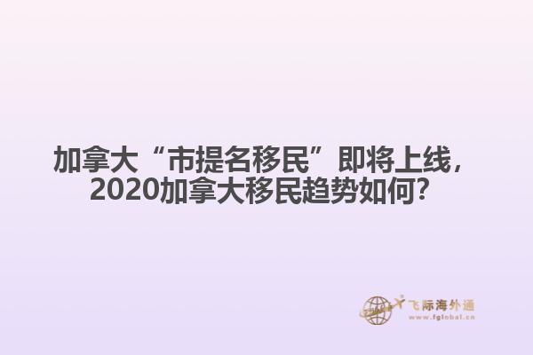 加拿大“市提名移民”即將上線，2020加拿大移民趨勢(shì)如何？
