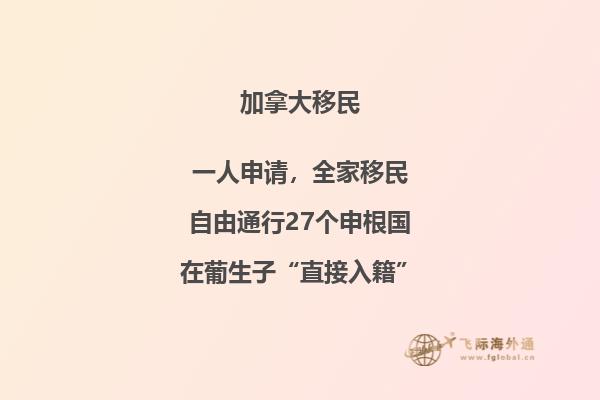 沙灘上的一個小船