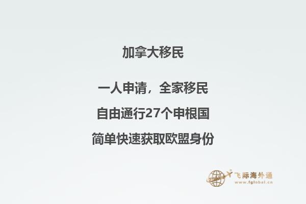 旗子迎風(fēng)飄揚