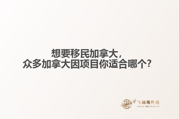 想要移民加拿大，眾多加拿大因項(xiàng)目你適合哪個(gè)？