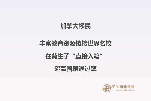 ?加拿大自雇移民能自己DIY申請(qǐng)嗎？2.jpg