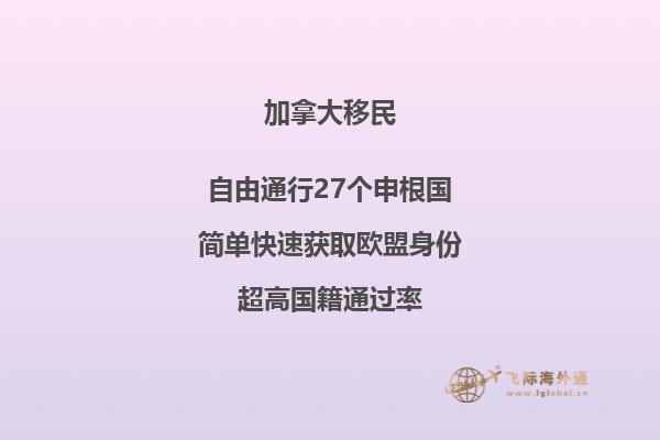 移民加拿大能不能自己申請(qǐng)？2.jpg