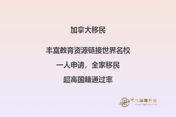 加拿大湖心島公園前高樓是干什么的