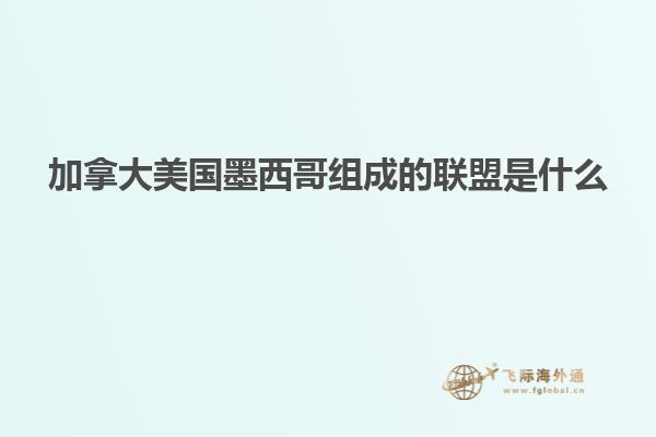 加拿大美國(guó)墨西哥組成的聯(lián)盟是什么