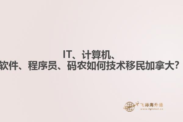 IT、計算機、軟件、程序員、碼農(nóng)如何技術移民加拿大？