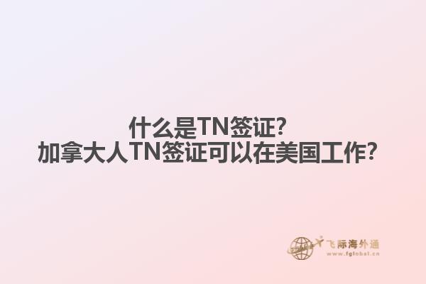 什么是TN簽證？加拿大人TN簽證可以在美國工作？1.jpg