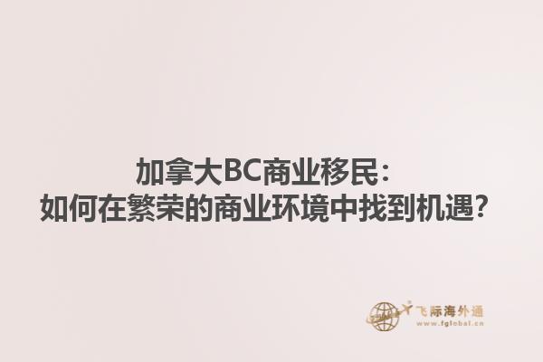 加拿大BC商業(yè)移民：如何在繁榮的商業(yè)環(huán)境中找到機(jī)遇？