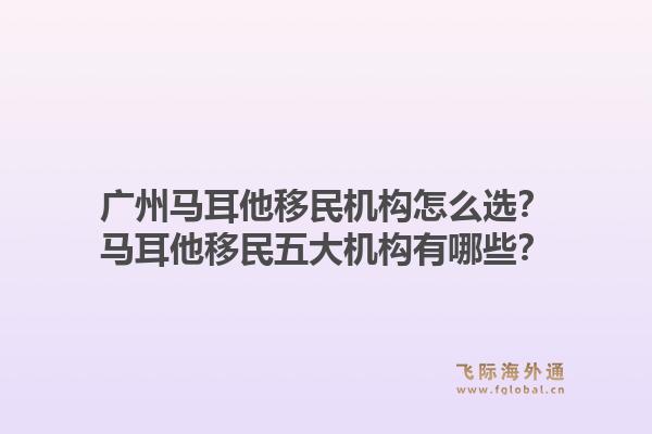 廣州馬耳他移民機構怎么選？馬耳他移民五大機構有哪些？