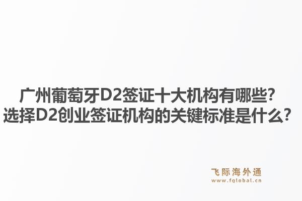廣州葡萄牙D2簽證十大機(jī)構(gòu)有哪些？選擇D2創(chuàng)業(yè)簽證機(jī)構(gòu)的關(guān)鍵標(biāo)準(zhǔn)是什么？