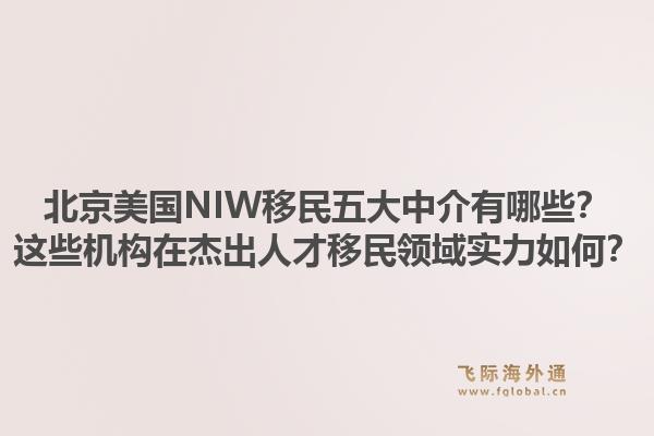 北京美國(guó)NIW移民五大中介有哪些？這些機(jī)構(gòu)在杰出人才移民領(lǐng)域?qū)嵙θ绾危?.jpg