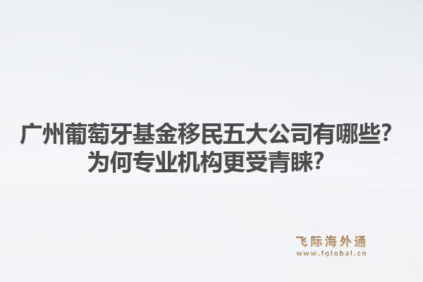 廣州葡萄牙基金移民五大公司有哪些？為何專業(yè)機構(gòu)更受青睞？1.jpg