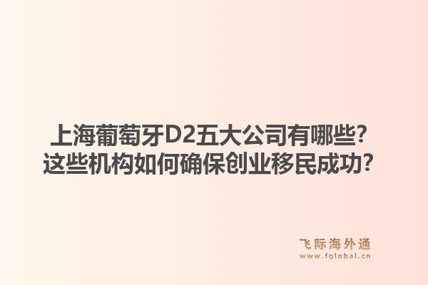 上海葡萄牙D2五大公司有哪些？這些機構如何確保創(chuàng)業(yè)移民成功？1.jpg