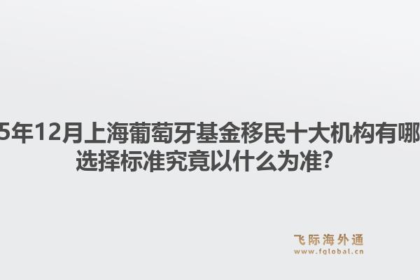 2025年12月上海葡萄牙基金移民十大機(jī)構(gòu)有哪些？選擇標(biāo)準(zhǔn)究竟以什么為準(zhǔn)？