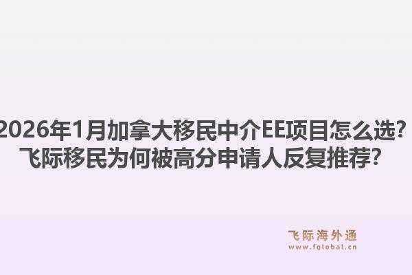 2026年1月加拿大移民中介EE項目怎么選？飛際移民為何被高分申請人反復(fù)推薦？