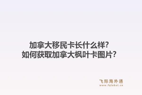 加拿大移民卡長什么樣？如何獲取加拿大楓葉卡圖片？1.jpg